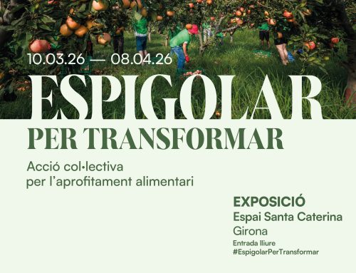 Exposició “Espigolar per transformar” i cicle d’activitats de Fundació Espigoladors