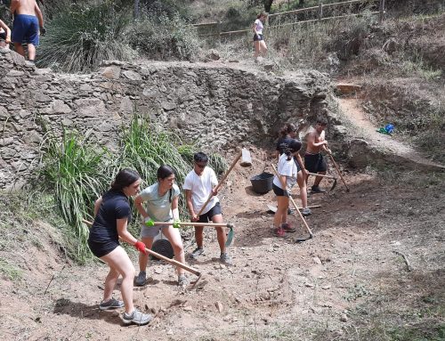 Camp de treball “Gavarres, natura i cultura VI”